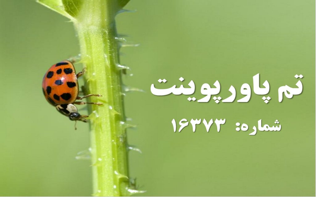 تم پاورپوینت شماره 16373 1