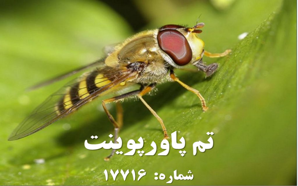 تم پاورپوینت شماره 17716 1 تم پاورپوینت شماره 17716 1