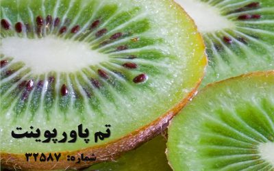 تم پاورپوینت شماره 32587 2 تم پاورپوینت شماره 32587 2