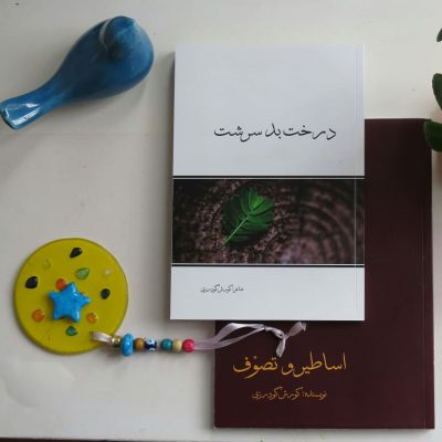 ”  بدسرشت ”
:
جلد؛
تعداد صفحات:117
قیمت کتاب:19000
”
حاصل نخستین تلاش ها