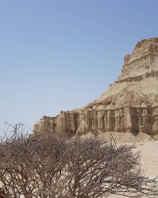 … …
هیچ قلبی صرفا به واسطه ی هماهنگی با قلب دیگر وصل نیست.
زخم است که قلب ه