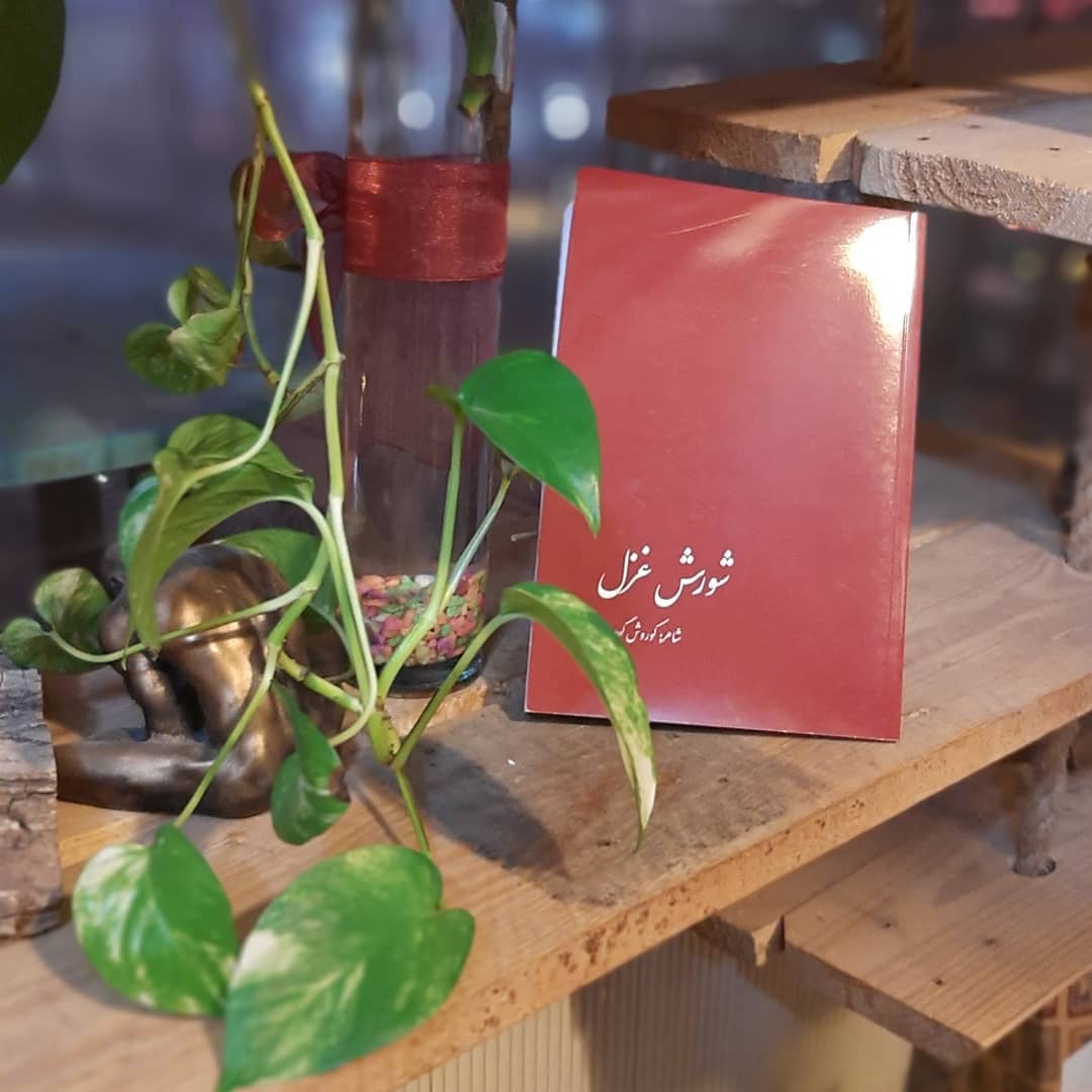 شاعر: قیمت: ۱۶۰۰۰ تومان 2