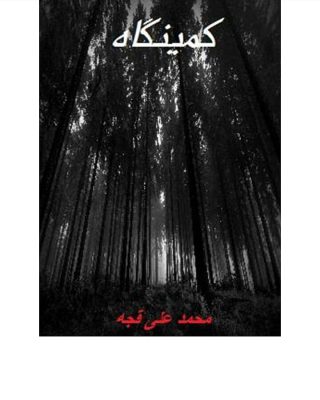 کتاب  
نوشته: محمد علی قجه
تازه خوندنش رو شروع کردم کتاب خوبیه میتونید این کتاب