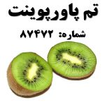 تم پاورپوینت شماره 87472