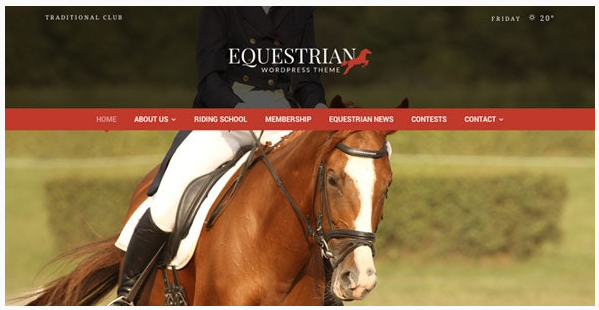 قالب وردپرس Equestrian 1