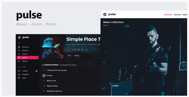 قالب وردپرس Pulse 1