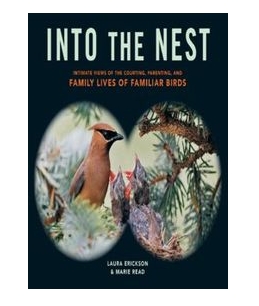 Into the Nest 2