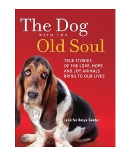 The Dog with the Old Soul 2