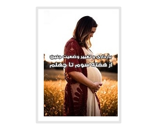 بارداری و تغییر وضعیت جنین از هفته سوم تا چهارم 1