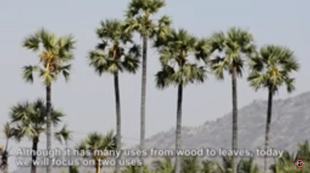 فیلم آموزش تولید شکر قهوه ای 1