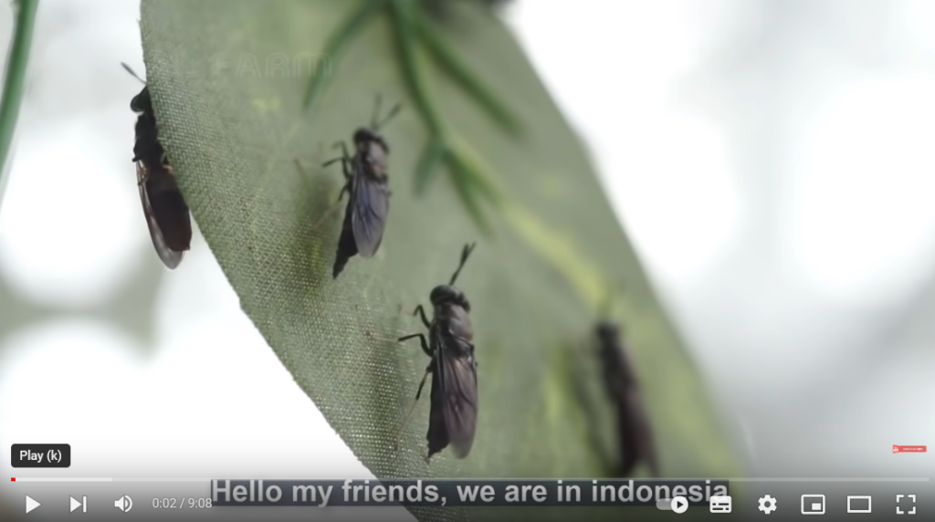 فیلم آموزش تولید مکس سیاه 1 فیلم آموزش تولید مکس سیاه 1