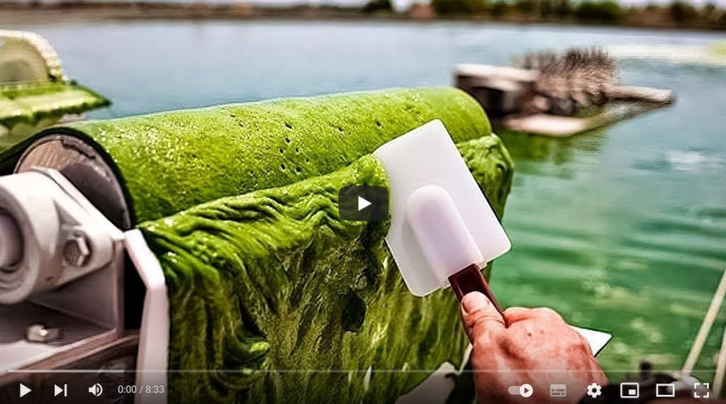 فیلم آموزش تولید جلبگ دریایی 1