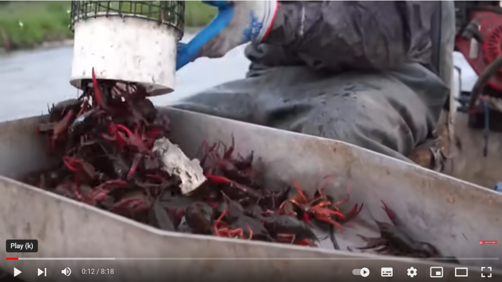 فیلم آموزش تولید خرچنگ 1