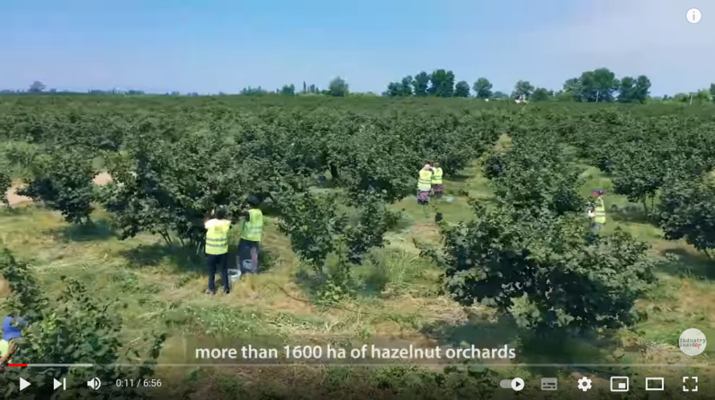 فیلم آموزش تولید فندق 1 فیلم آموزش تولید فندق 1