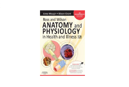 آناتومی و فیزیولوژی در سلامت و بیماری 1 آناتومی و فیزیولوژی در سلامت و بیماری 1