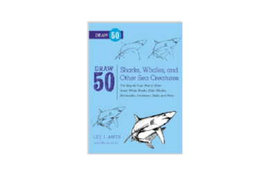 آموزش طراحی 50 نوع کوسه ماهی