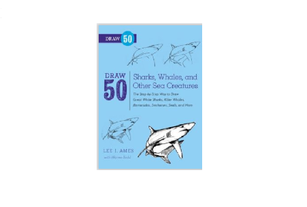 آموزش طراحی 50 نوع کوسه ماهی 1