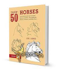 آموزش طراحی 50 نوع آناتومی اسب