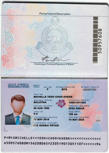 دانلود لایه باز پاسپورت مالزی