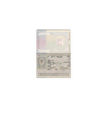 دانلود لایه باز پاسپورت امارات