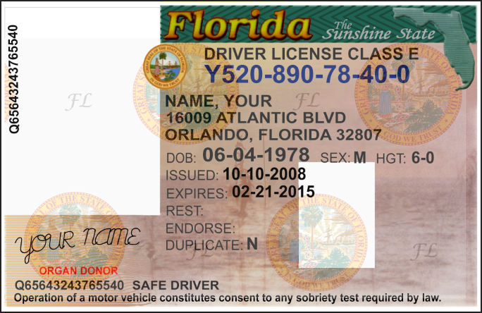 دانلود لایه باز گواهینامه رانندگی امریکا - فلوریدا نسخه 1 2 دانلود لایه باز گواهینامه رانندگی امریکا - فلوریدا نسخه 1