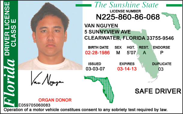 دانلود لایه باز گواهینامه رانندگی امریکا - فلوریدا نسخه 1 4 دانلود لایه باز گواهینامه رانندگی امریکا - فلوریدا نسخه 1