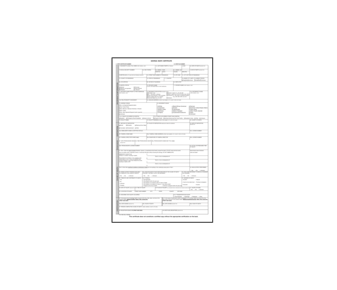 گواهی ولادت جورجیا - امریکا 1 گواهی ولادت جورجیا - امریکا 1