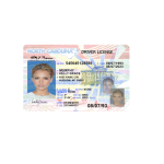 گواهینامه رانندگی امریکا – کارولینا نسخه 1