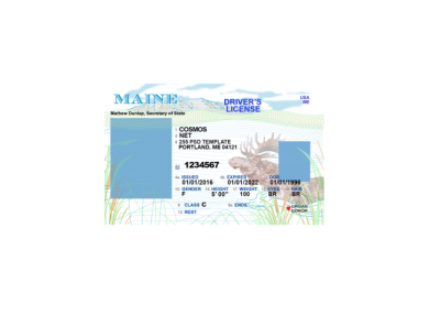 گواهینامه رانندگی امریکا – ماینه نسخه 2