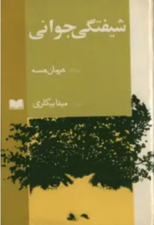 کتاب شیفتگی جوانی