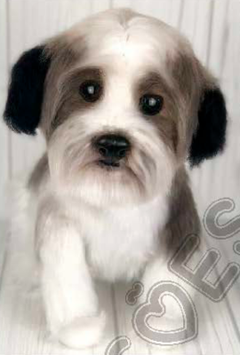 الگو عروسک های بافتنی شماره 0448