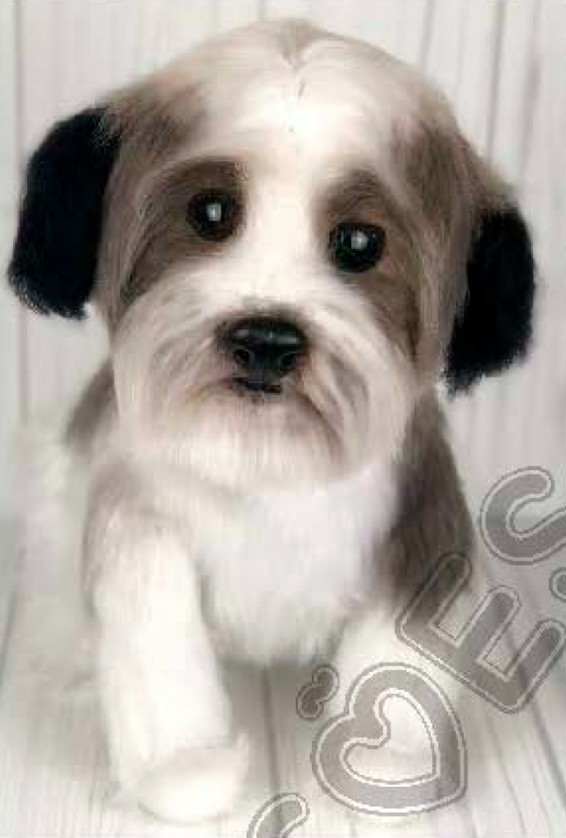 الگو عروسک های بافتنی شماره 0448 1