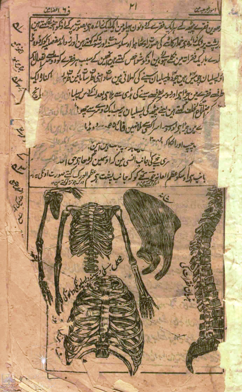 کتاب خطی شفاء الامراض