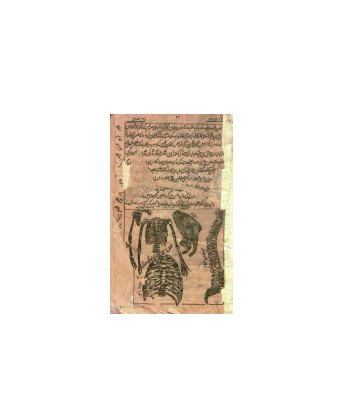 کتاب خطی شفاء الامراض