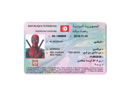 دانلود لایه باز گواهینامه رانندگی تونس 1