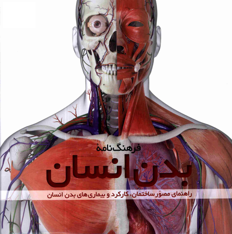 کتاب فرهنگ نامه بدن انسان 2 کتاب فرهنگ نامه بدن انسان