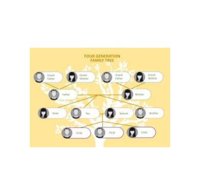 دانلود نمودار Generation Family Tree