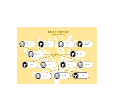 دانلود نمودار Generation Family Tree 1 دانلود نمودار Generation Family Tree 1