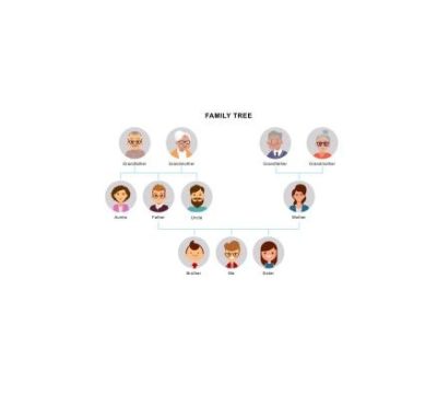 دانلود نمودار Family Tree Template 11