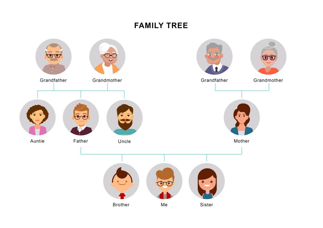 دانلود نمودار Family Tree Template 11 2 دانلود نمودار Family Tree Template 11