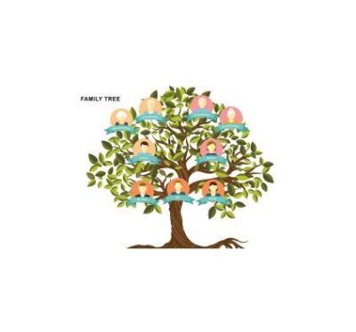 دانلود نمودار Family Tree Template 12
