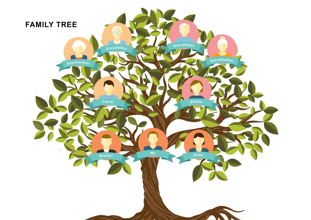دانلود نمودار Family Tree Template 12 2 دانلود نمودار Family Tree Template 12