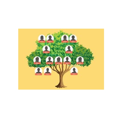 دانلود نمودار Family Tree Template 13 1 دانلود نمودار Family Tree Template 13 1