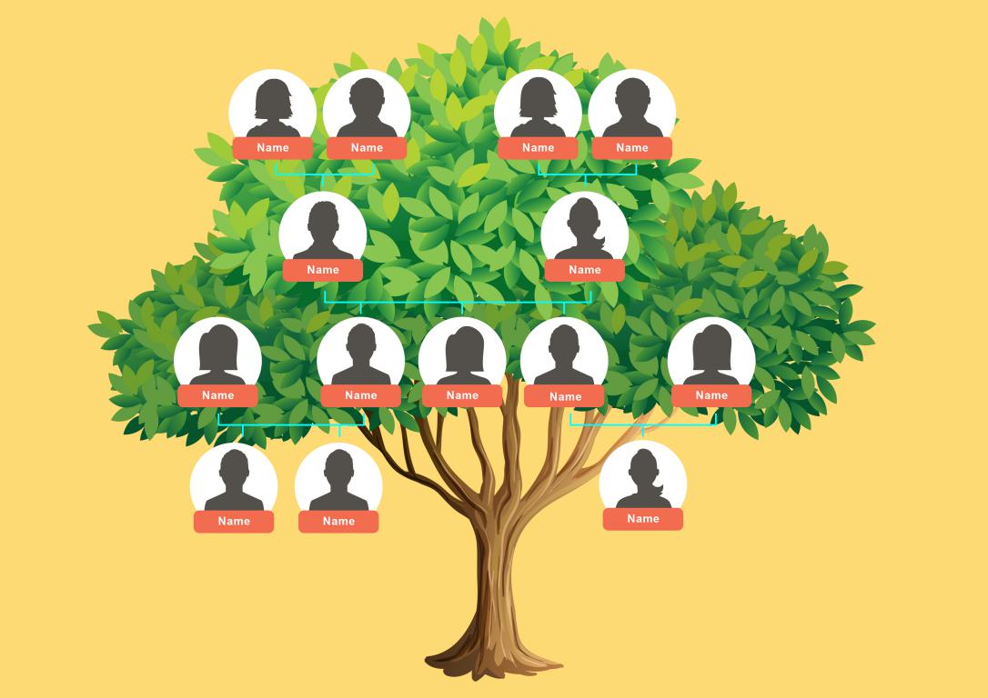 دانلود نمودار Family Tree Template 13 2 دانلود نمودار Family Tree Template 13