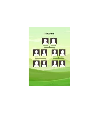 دانلود نمودار Family Tree Template 16