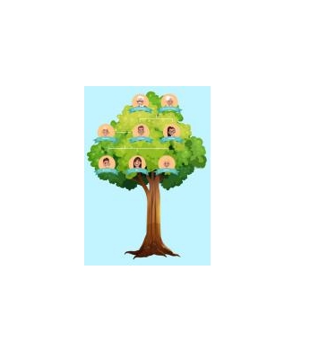 دانلود نمودار Family Tree Template 17