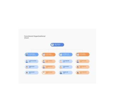 دانلود نمودار Functional Organizational Chart Template