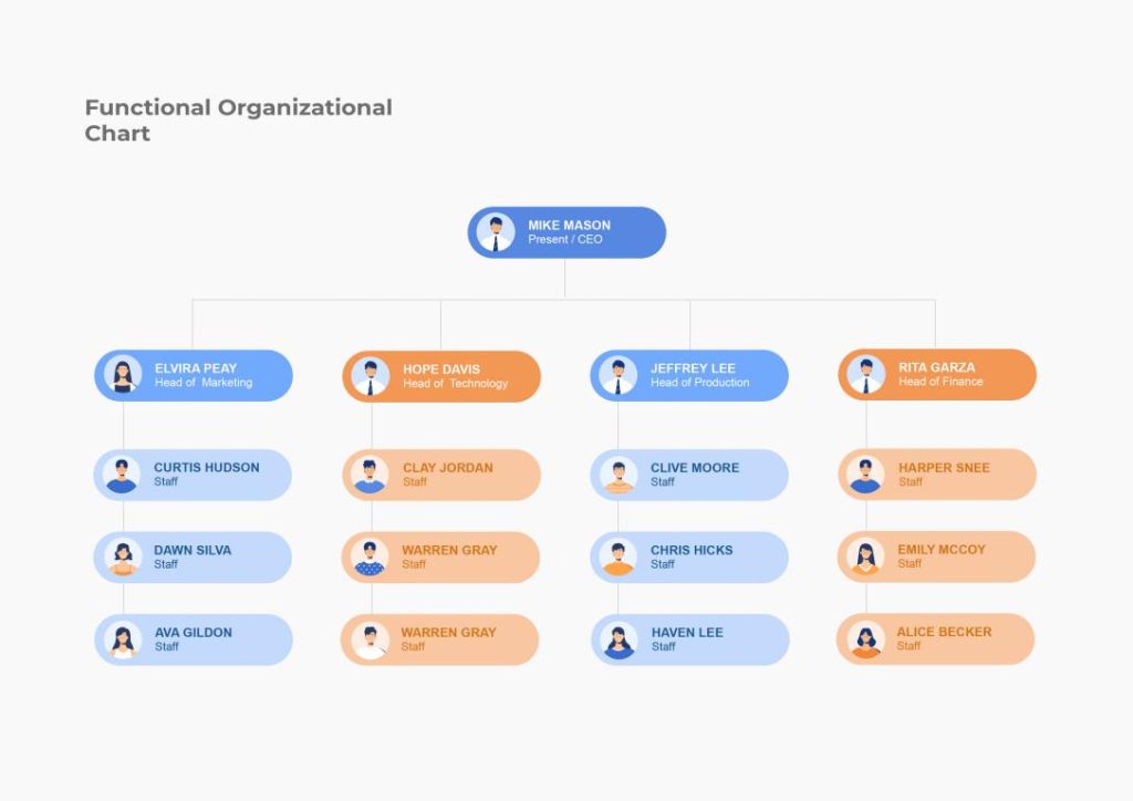 دانلود نمودار Functional Organizational Chart Template 2 دانلود نمودار Functional Organizational Chart Template