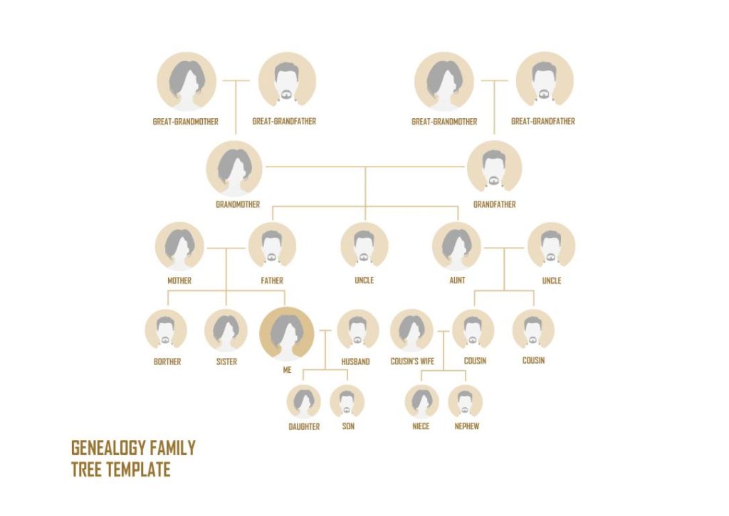 دانلود نمودار Genealogy Family Tree Template