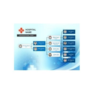 دانلود نمودار Hospital Organizational Chart 1